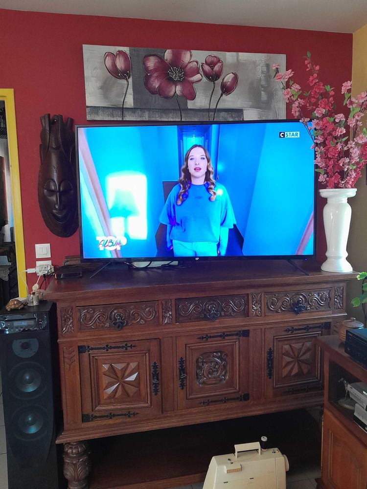 grande t�l�vision 170 Nomain (59)