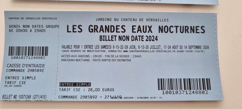 Les grandes eaux nocturnes 28 Antony (92)