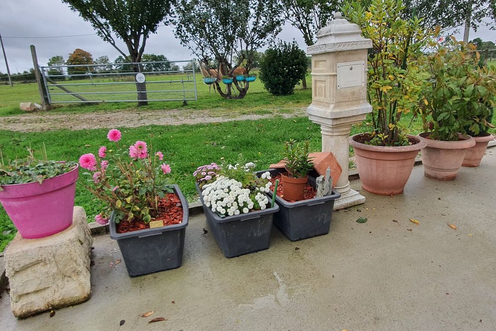 3 Grandes Jardini�res avec Fleurs 50 Saint-Nicolas-de-Sommaire (61)