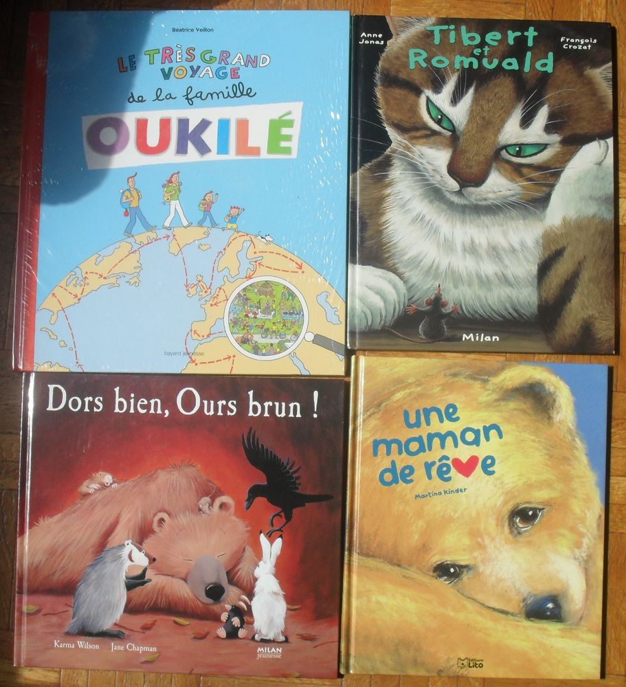 Lot de 4 grands livres pour Enfants NEUFS. 24 Montreuil (93)
