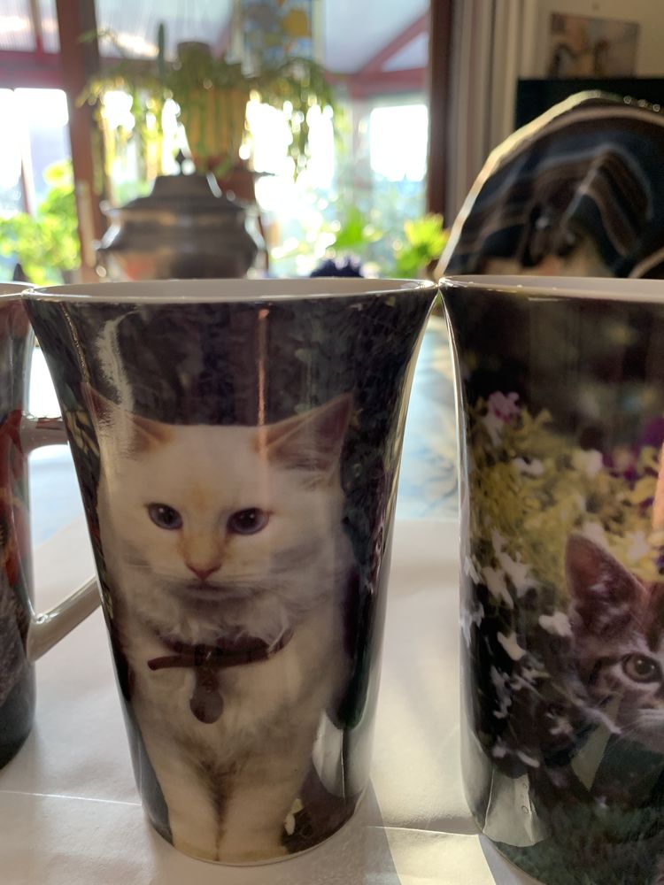 4 grands mugs d�cor chats 12 Estaires (59)