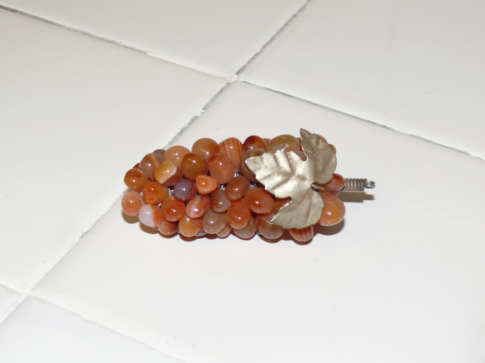 Grappe de raisin 7 Saintes (17)