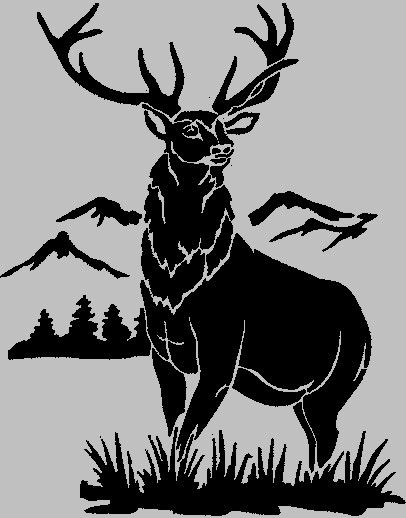 Gravure laser - Miroir grav� - Cerf mod�le 1 15 Metz (57)