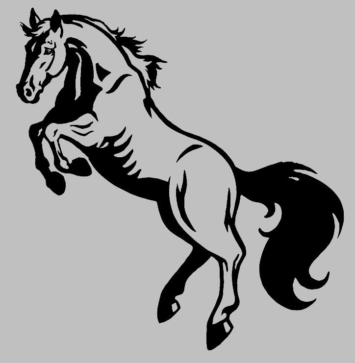 Gravure laser - Miroir grav� - Cheval 15 Metz (57)