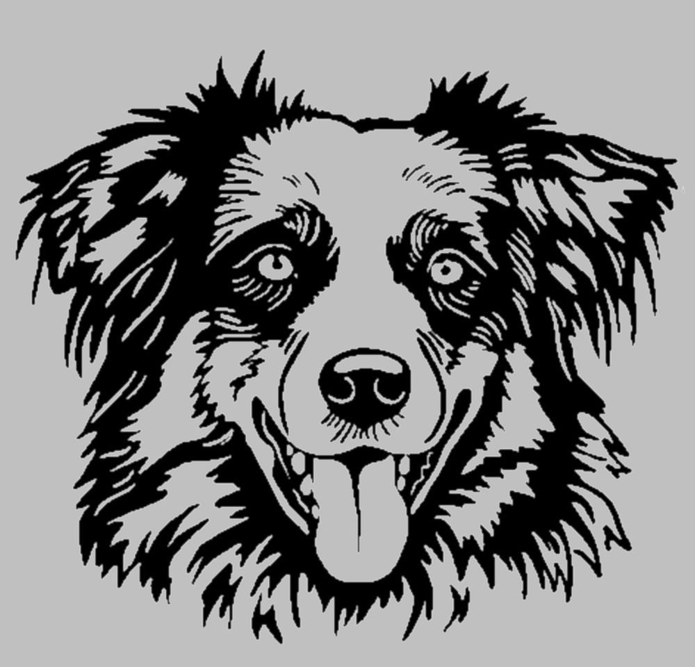 Gravure laser - Miroir grav� - Berger australien 15 Metz (57)