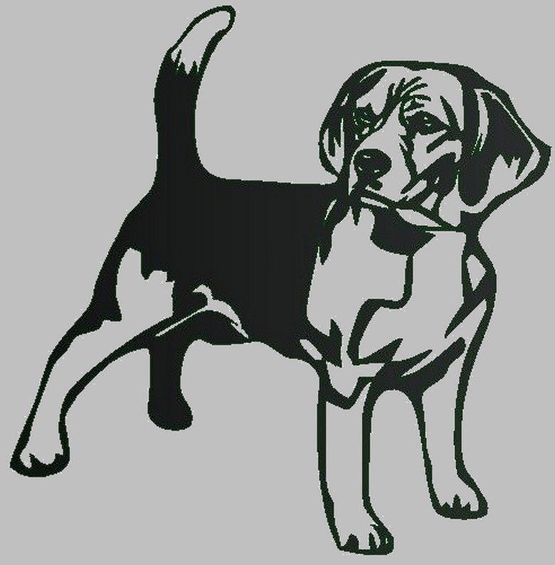 Gravure laser - Miroir grav� - Beagle 15 Metz (57)