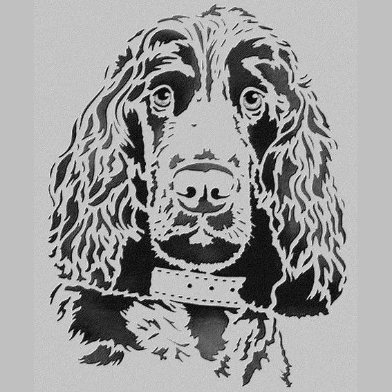 Gravure laser - Miroir grav� - T^te de cocker 15 Metz (57)