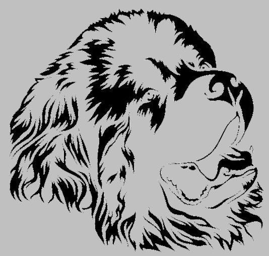 Gravure laser - Miroir grav� - Terre Neuve 15 Metz (57)