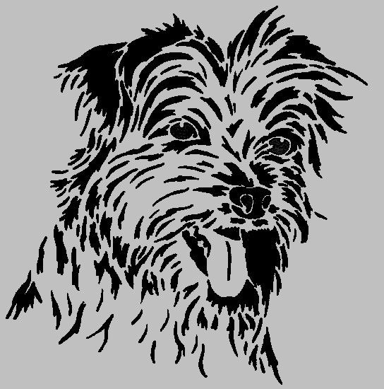 Gravure laser - Miroir grav� - Yorkshire 15 Metz (57)