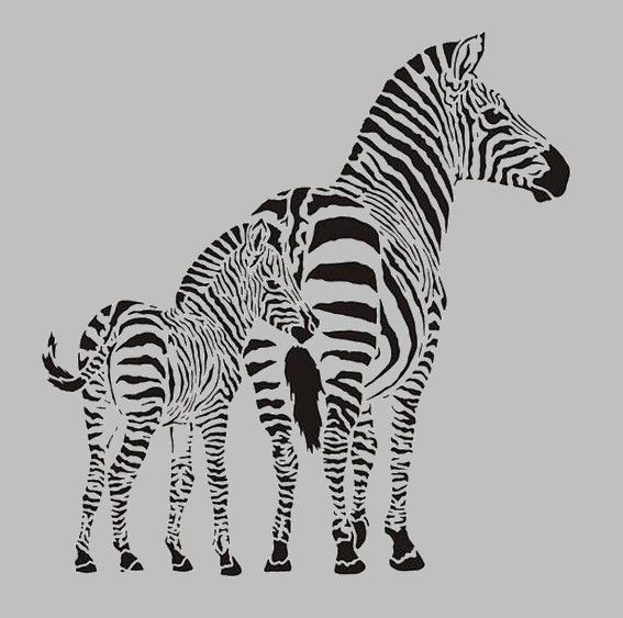 Gravure laser - Miroir grav� - Z�bre et z�breau 15 Metz (57)