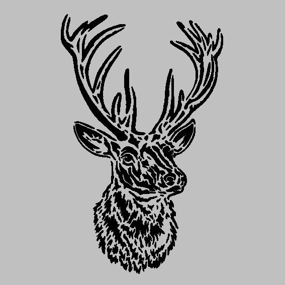 Gravure laser  - T�te de cerf grav� sur miroir 15 Metz (57)