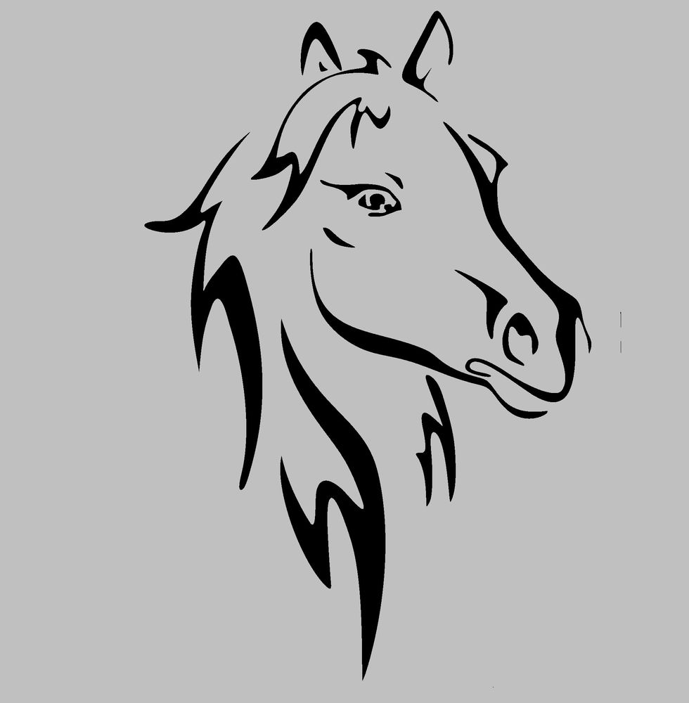 Gravure laser - T�te de cheval grav� sur miroir 15 Metz (57)