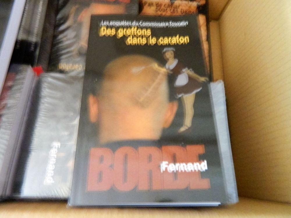    Des greffons dans le carafon  Polars pour la plage 16 Chasseneuil-du-Poitou (86)