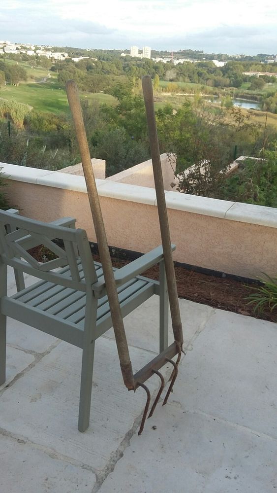 Grelinette de chez Botanic 10 Juvignac (34)