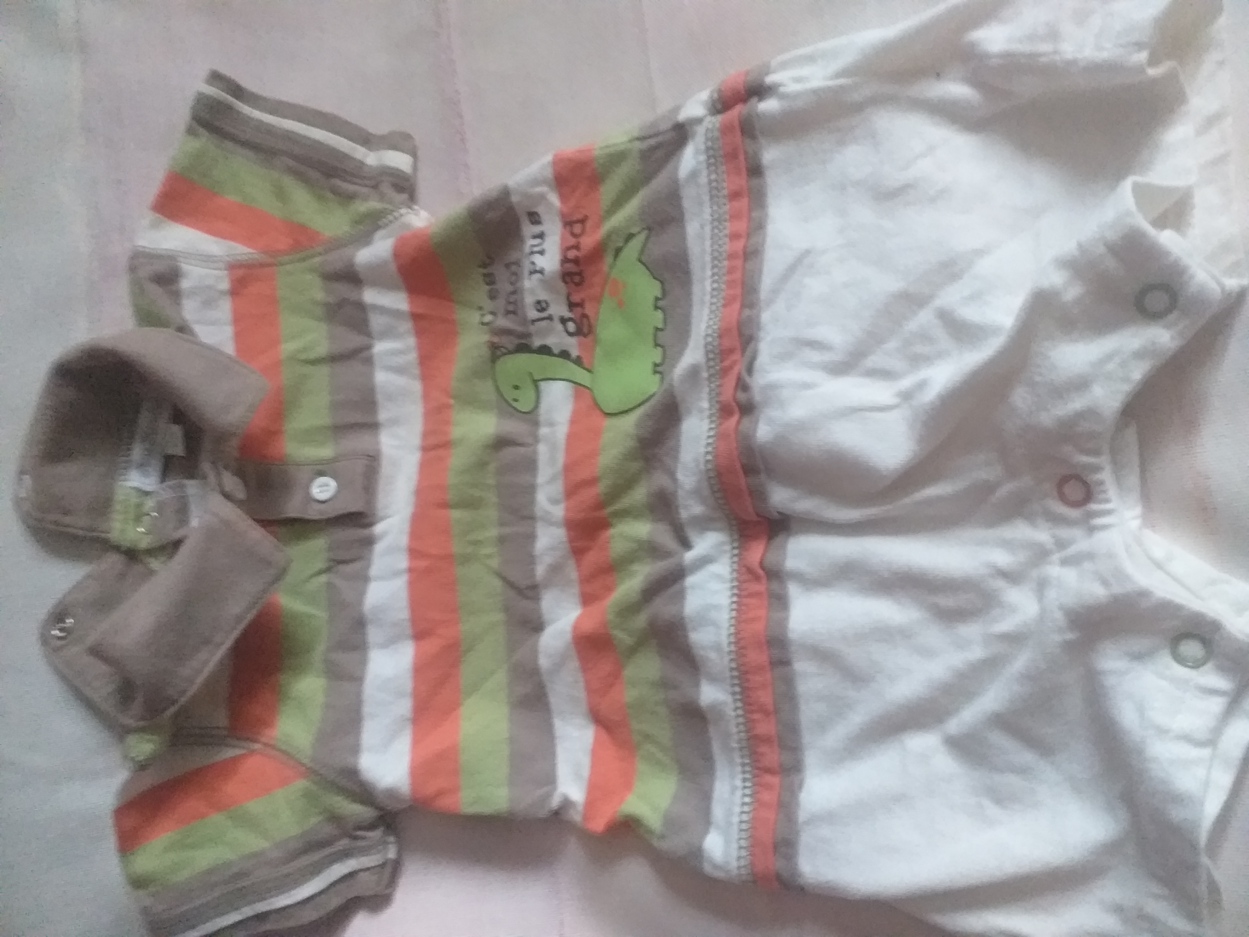 Grenouill�re manches courtes 1 Belleville (69)