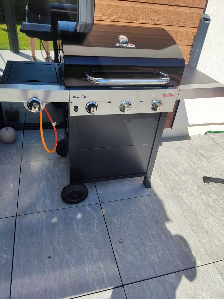 Grill 250 Gaillard (74)