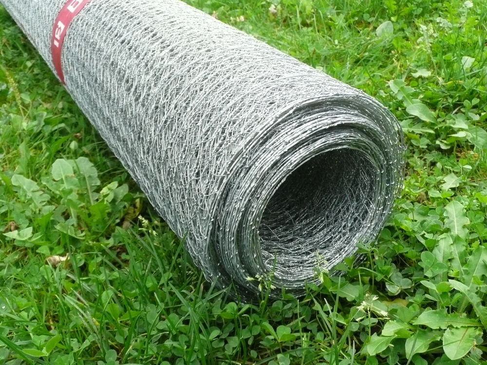 grillage a poules 70 Luxeuil-les-Bains (70)