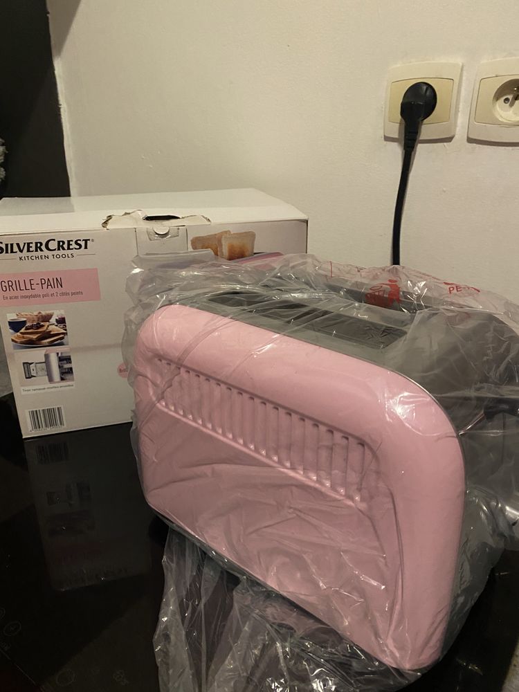 Grille pain rose 20 Beauregard-de-Terrasson (24)