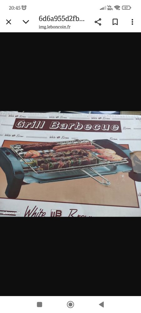 Grille viande 10 Laval (53)