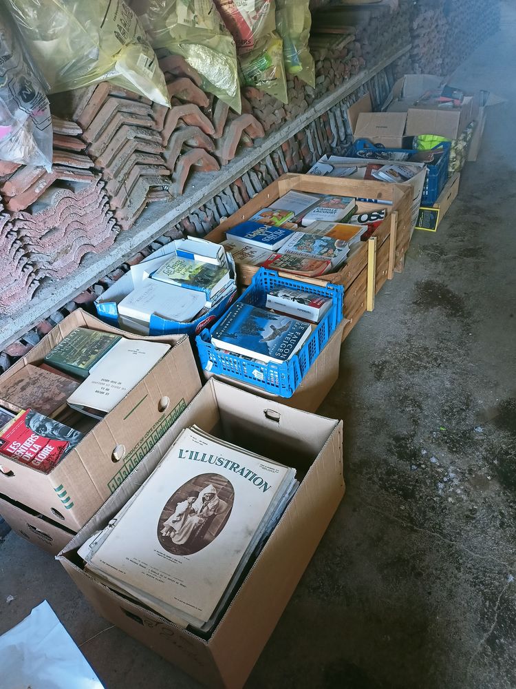 Gros lot de 1212 livres 250 Glonville (54)