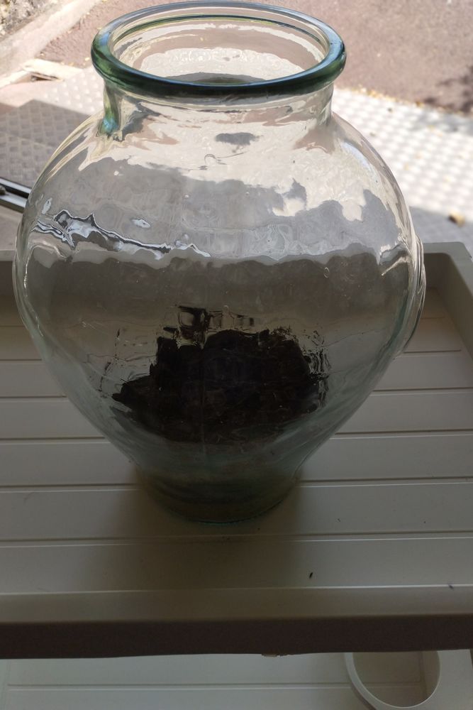 GROS BOCAL EN VERRE 20 Verri�res (10)