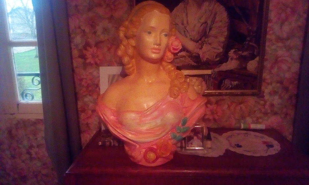 Gros buste 20 Saint-Bonnet-sur-Gironde (17)