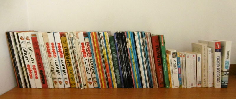 gros lots de BD albums de spirous leonard tintin asterix  40 Mâcon (71)