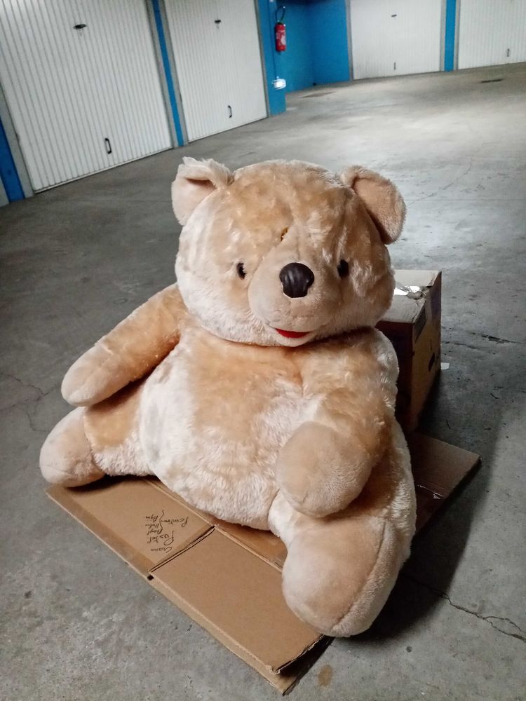 Gros nounours (peluche) 30 Basse-Goulaine (44)