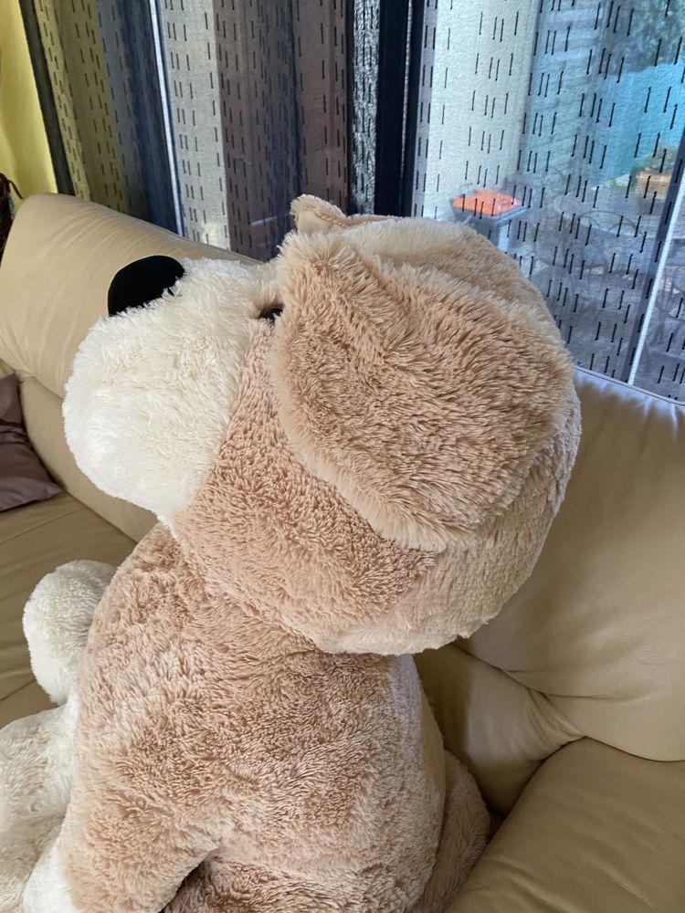 Gros ours en peluche 60 Montpellier (34)