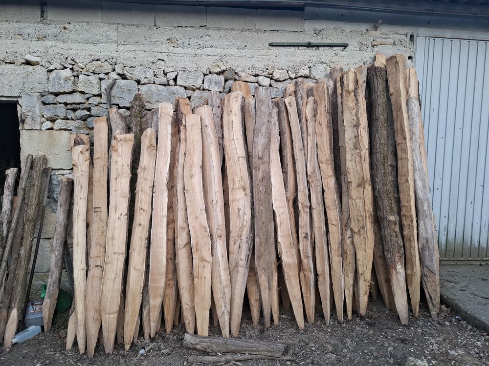 Gros Pieux Acacia 225 Retheuil (02)