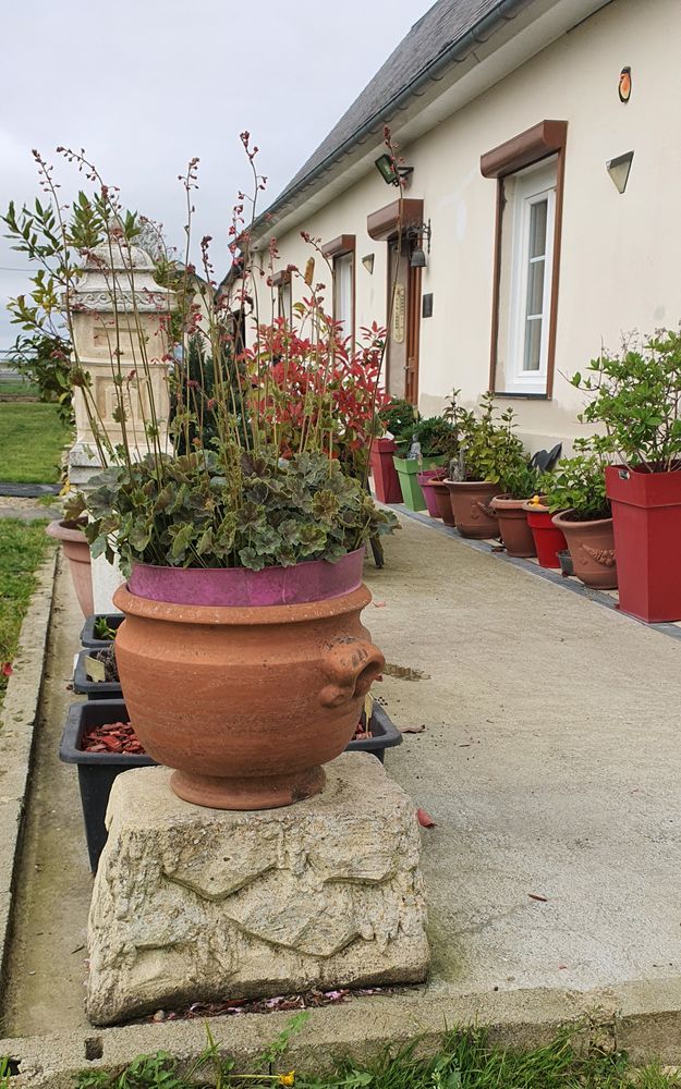 2 Gros Socles Rochers 80 Saint-Nicolas-de-Sommaire (61)