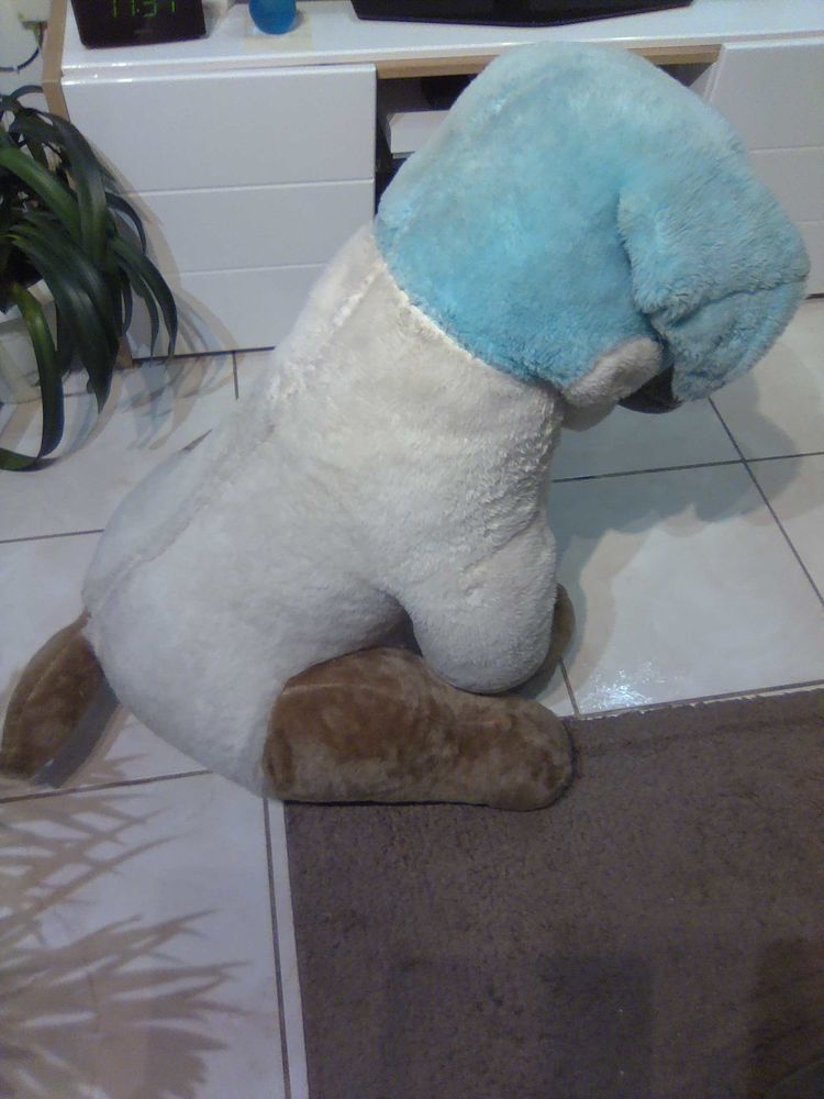 grosse peluche chien 25 Amiens (80)