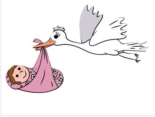 Grossesse- accouchement - naissance - b�b� 5 Armenti�res (59)