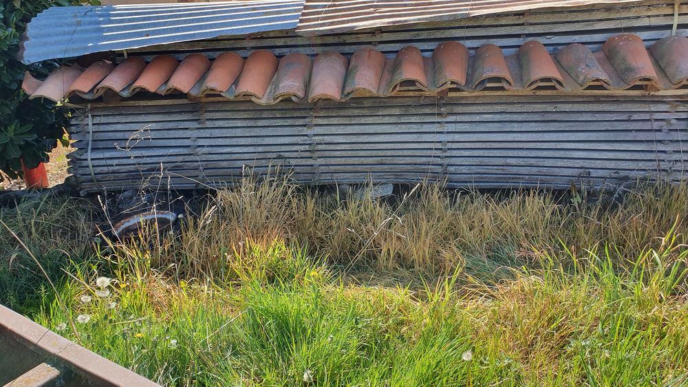 grume  de bois ( ch�ne) 0 Ancy (69)