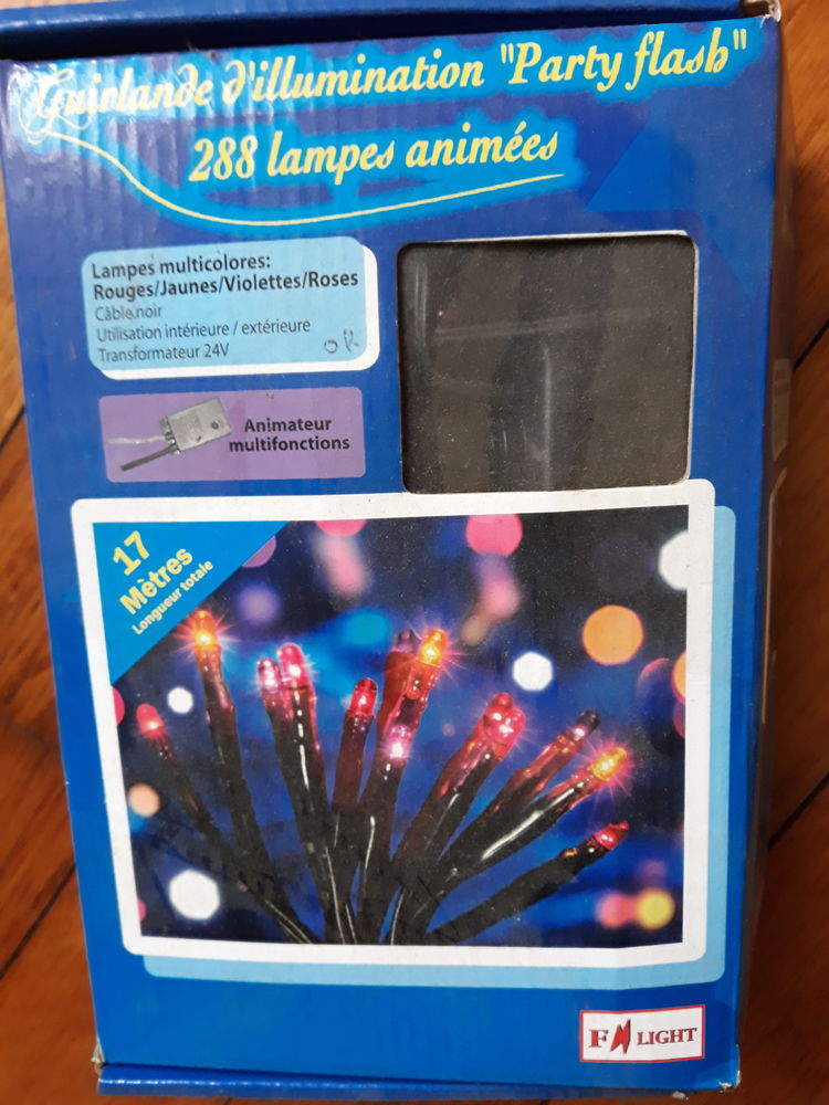 Guirlande d'illumination 10 Orchamps (39)