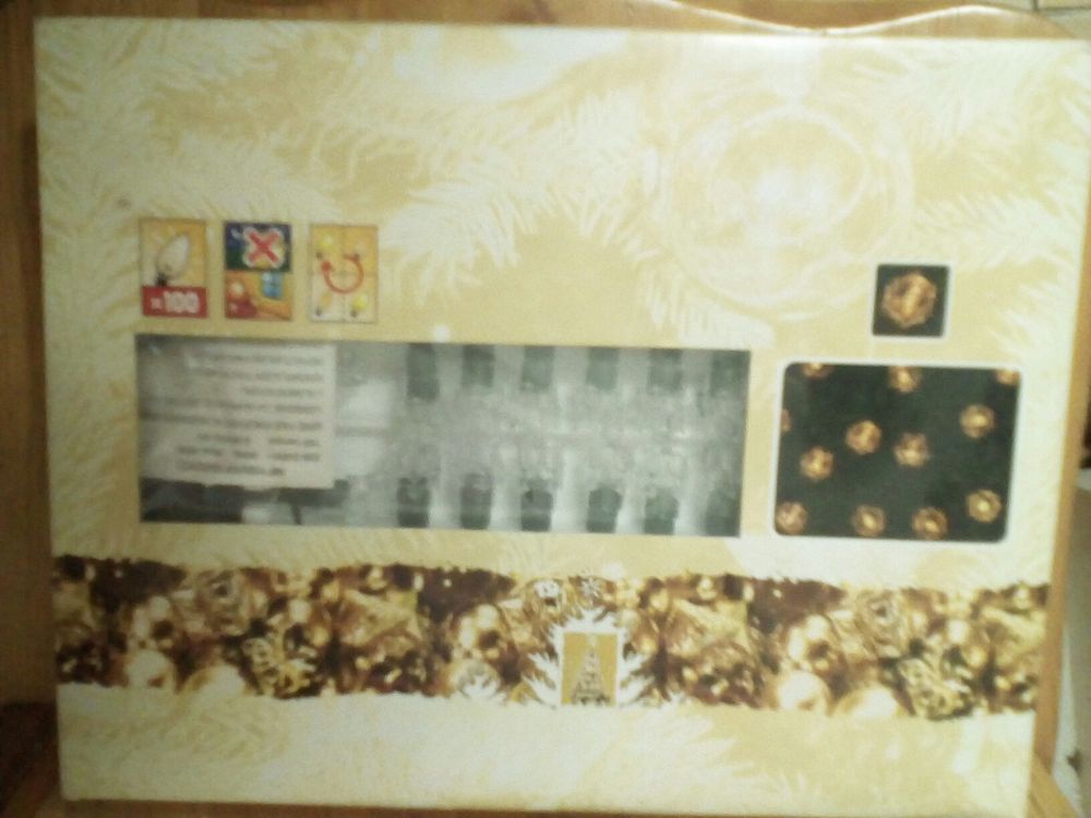 guirlandes lumineuses leds 15 Charleville-M�zi�res (08)