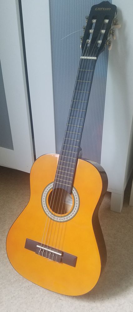 Guitar Clifton 25 Besan�on (25)