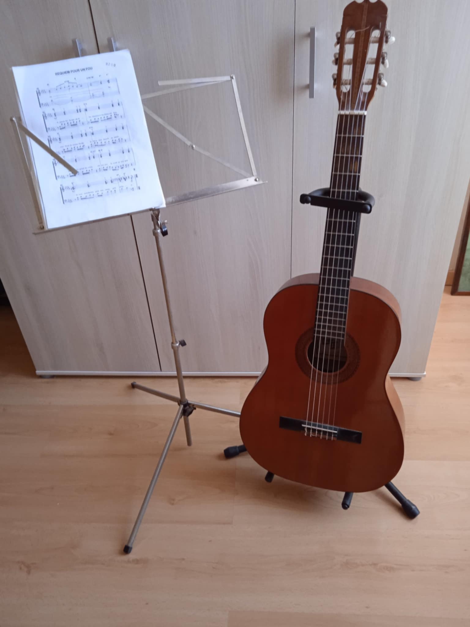 Guitare acoustique avec support, pupitre, housse, accordeur, 50 Langres (52)