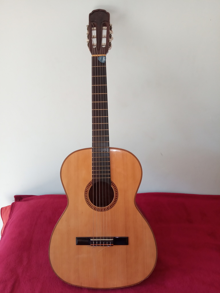 Guitare Acoustique Classique 350 Am�lie-les-Bains-Palalda (66)