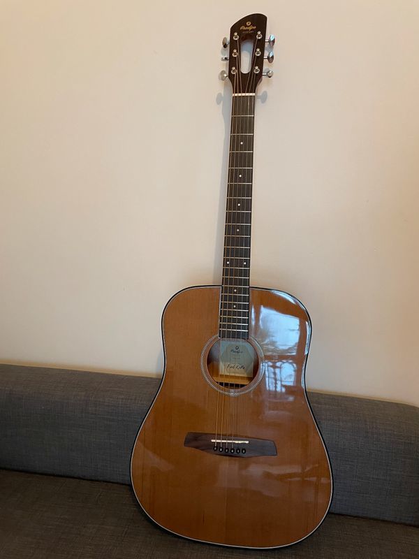 Guitare acoustique prodipe sd200 350 Lyon 5 (69)