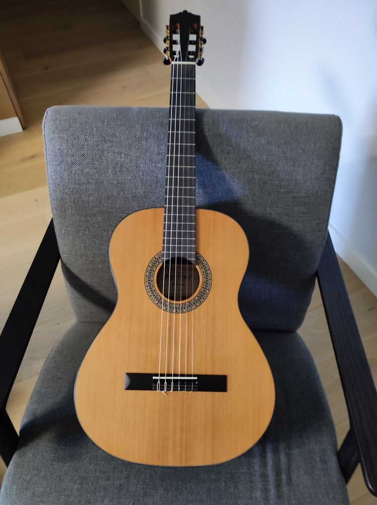 Guitare acoustique 140 Toulouse (31)