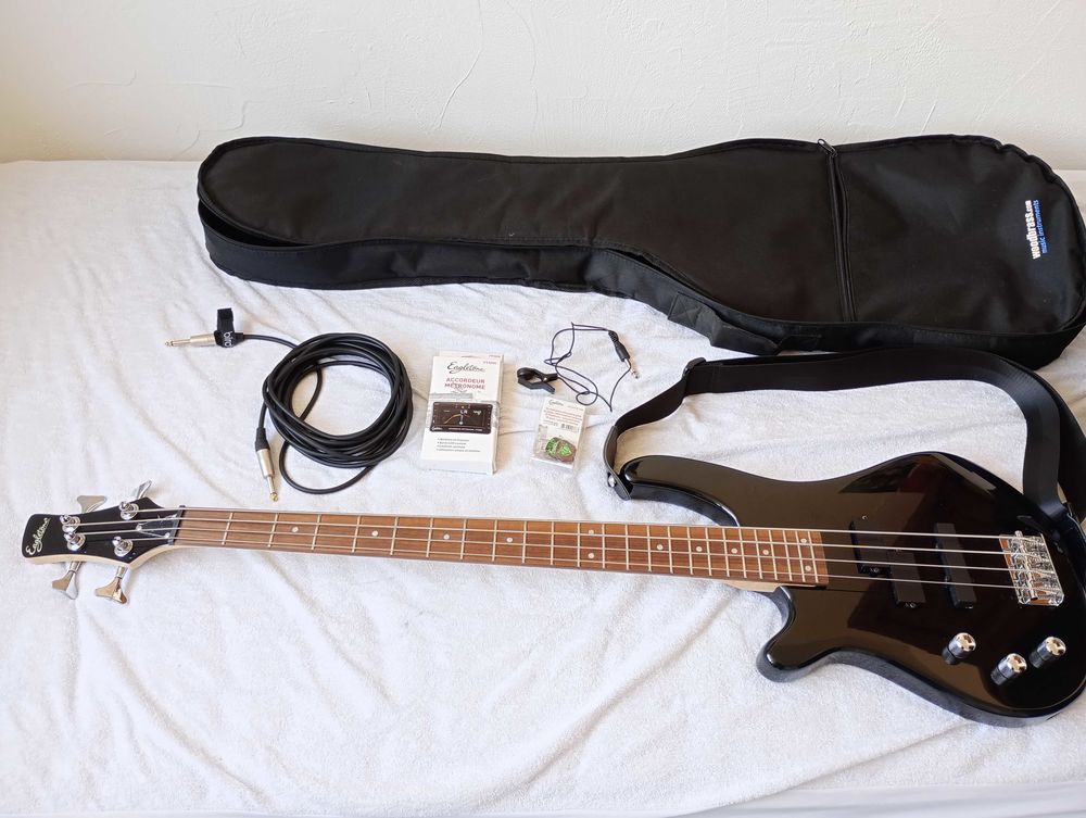 guitare basse 350 Saint-Geni�s-de-Malgoir�s (30)