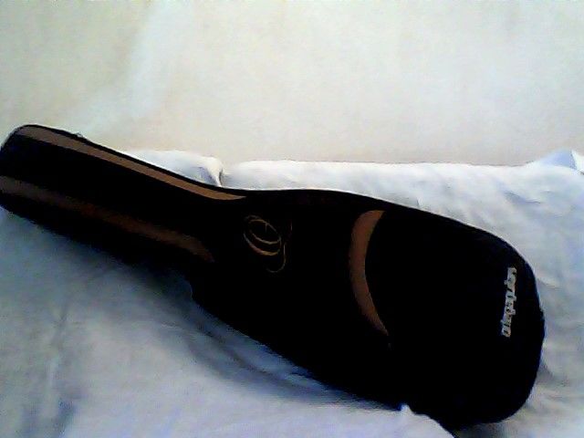 guitare classique ORTEGA 270 Apt (84)