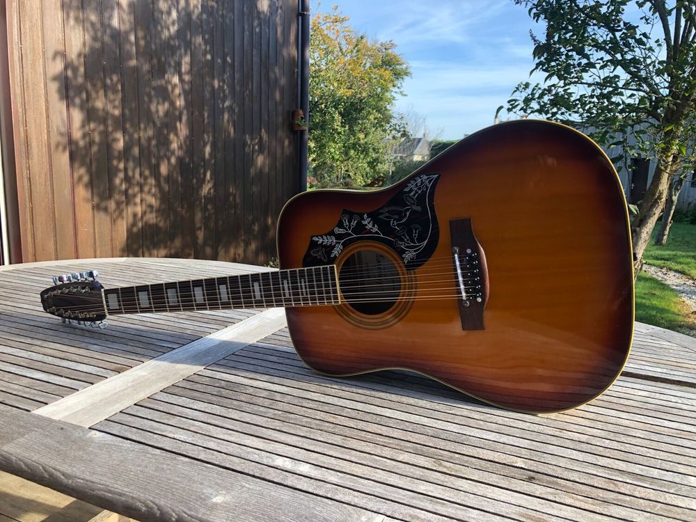 GUITARE 12 CORDES 160 Vitr� (35)