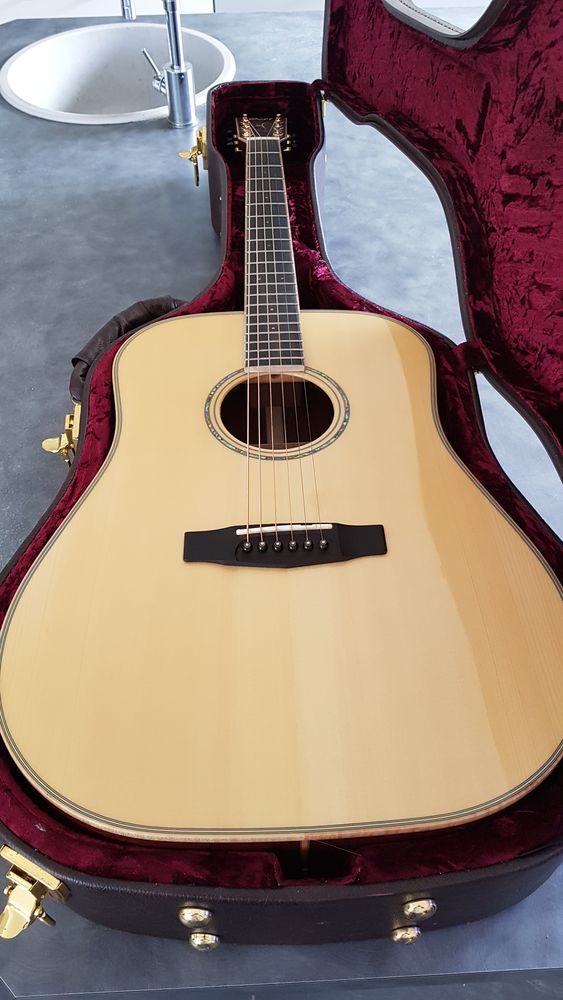 Guitare cort custom earth 500 Sideville (50)