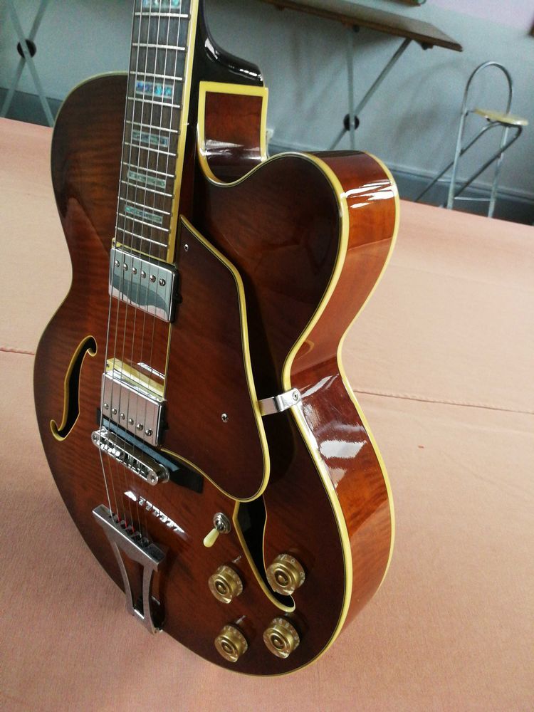 guitare �lectrique acoustique IBANEZ 250 Longuyon (54)