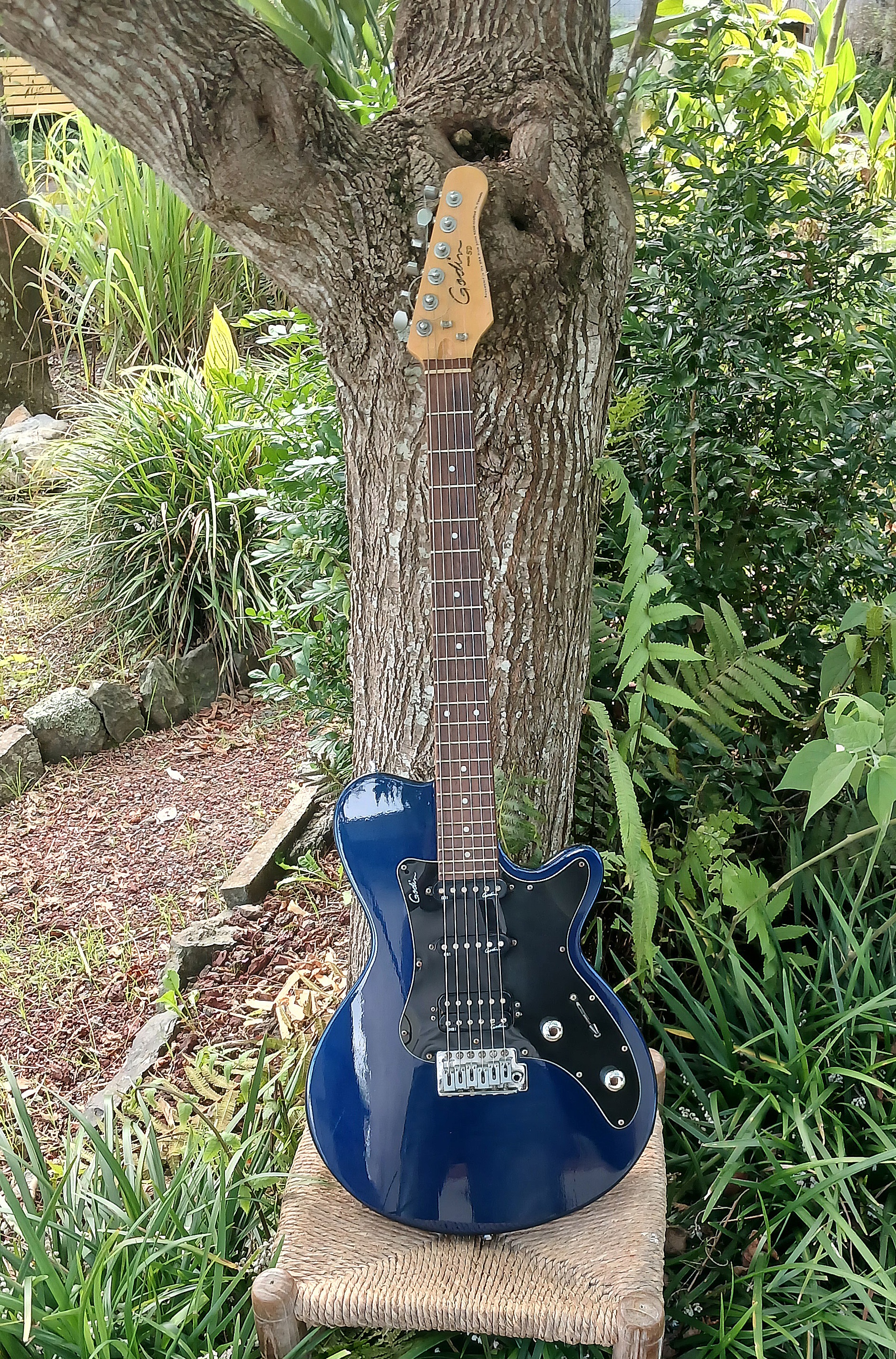 GUITARE ELECTRIQUE GODIN MODELE SD PARFAIT ETAT 700 Cilaos (97)