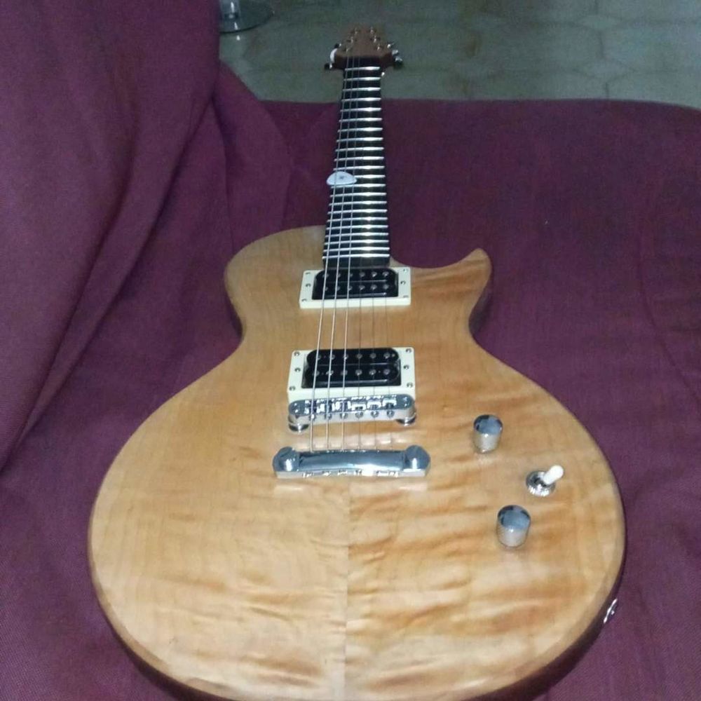 Guitare electrique type les paul 800 Parentis-en-Born (40)
