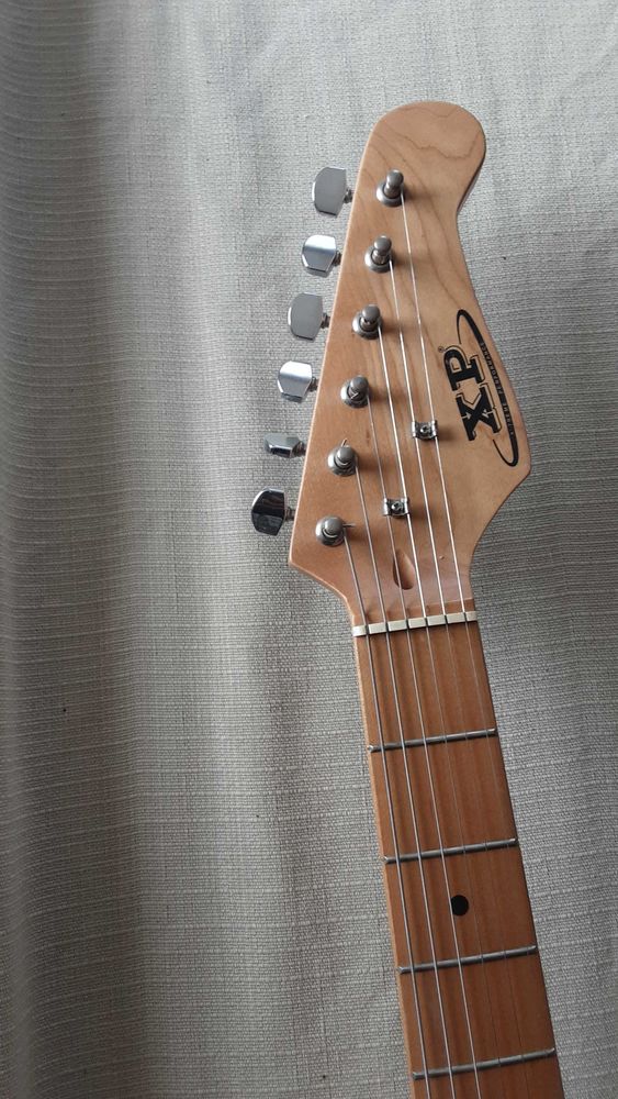 guitare electrique 110 Aubi�re (63)