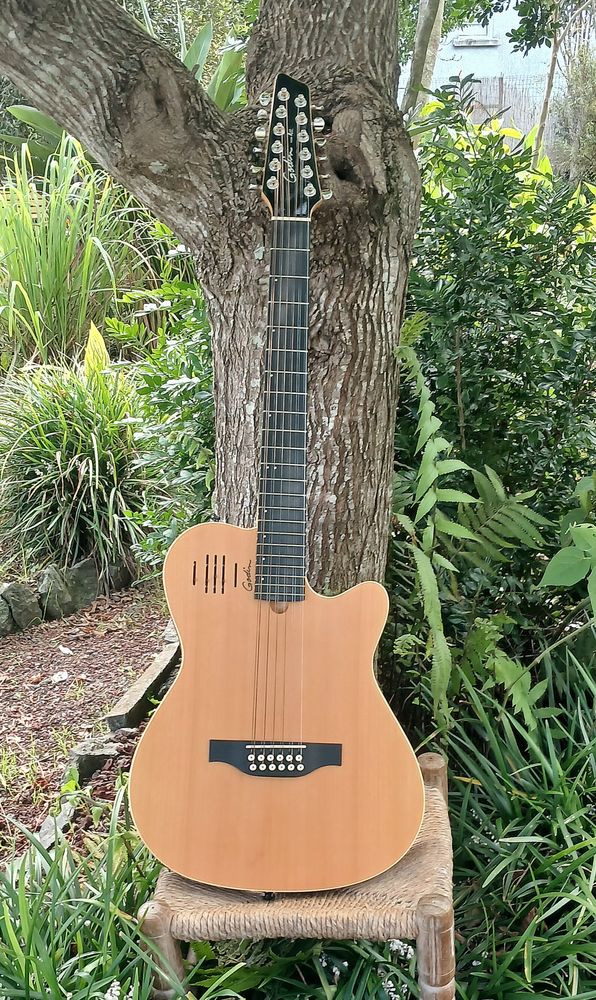 GUITARE ELECTRO ACOUSTIQUE GODIN 12 CORDES PARFAIT ETAT 1100 Cilaos (97)